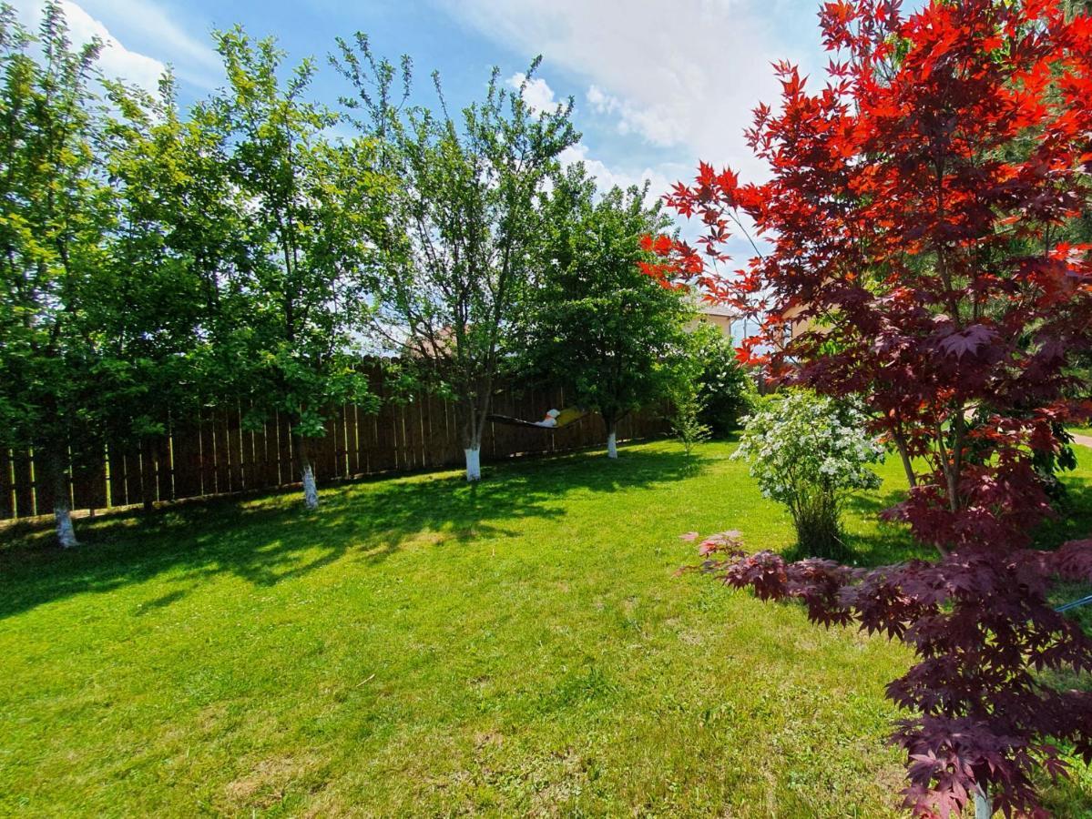 Jasmine Residence Prejmer Zewnętrze zdjęcie